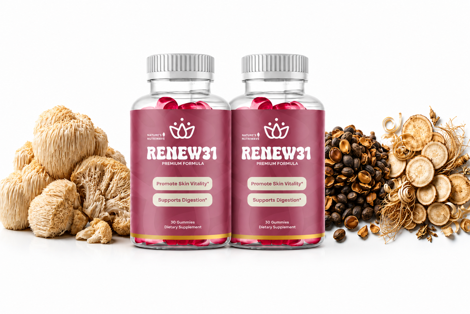 Renew31  Official Supplement